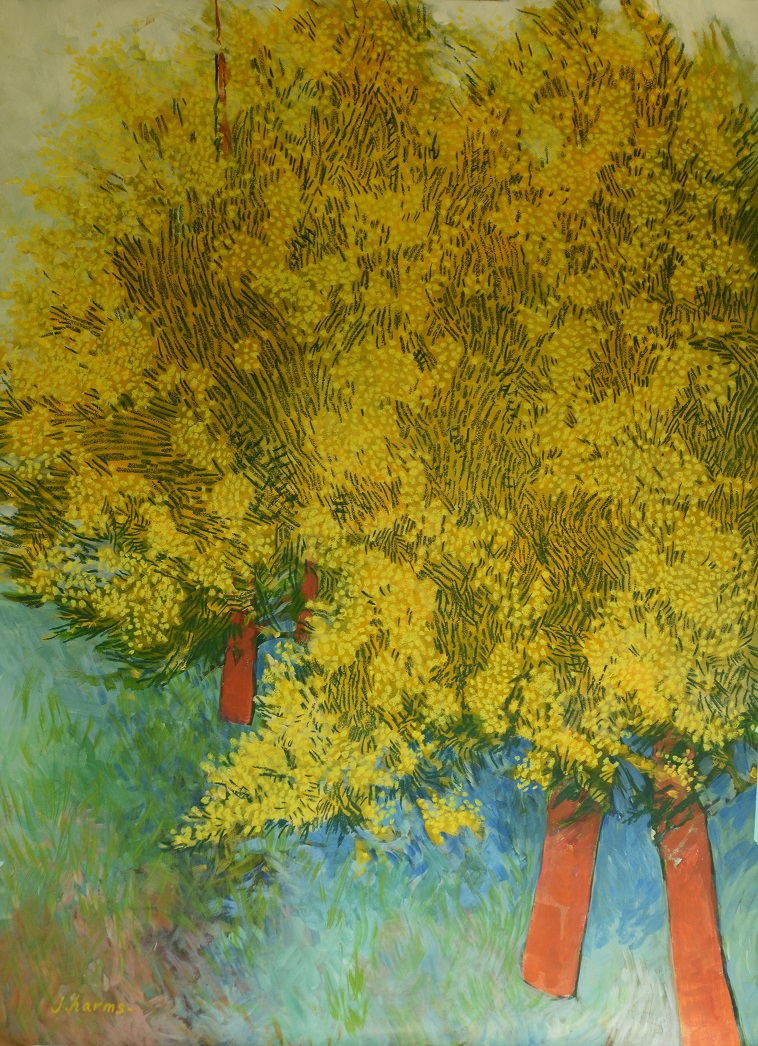 Les Mimosas De Mesubenomori&nbsp;2013