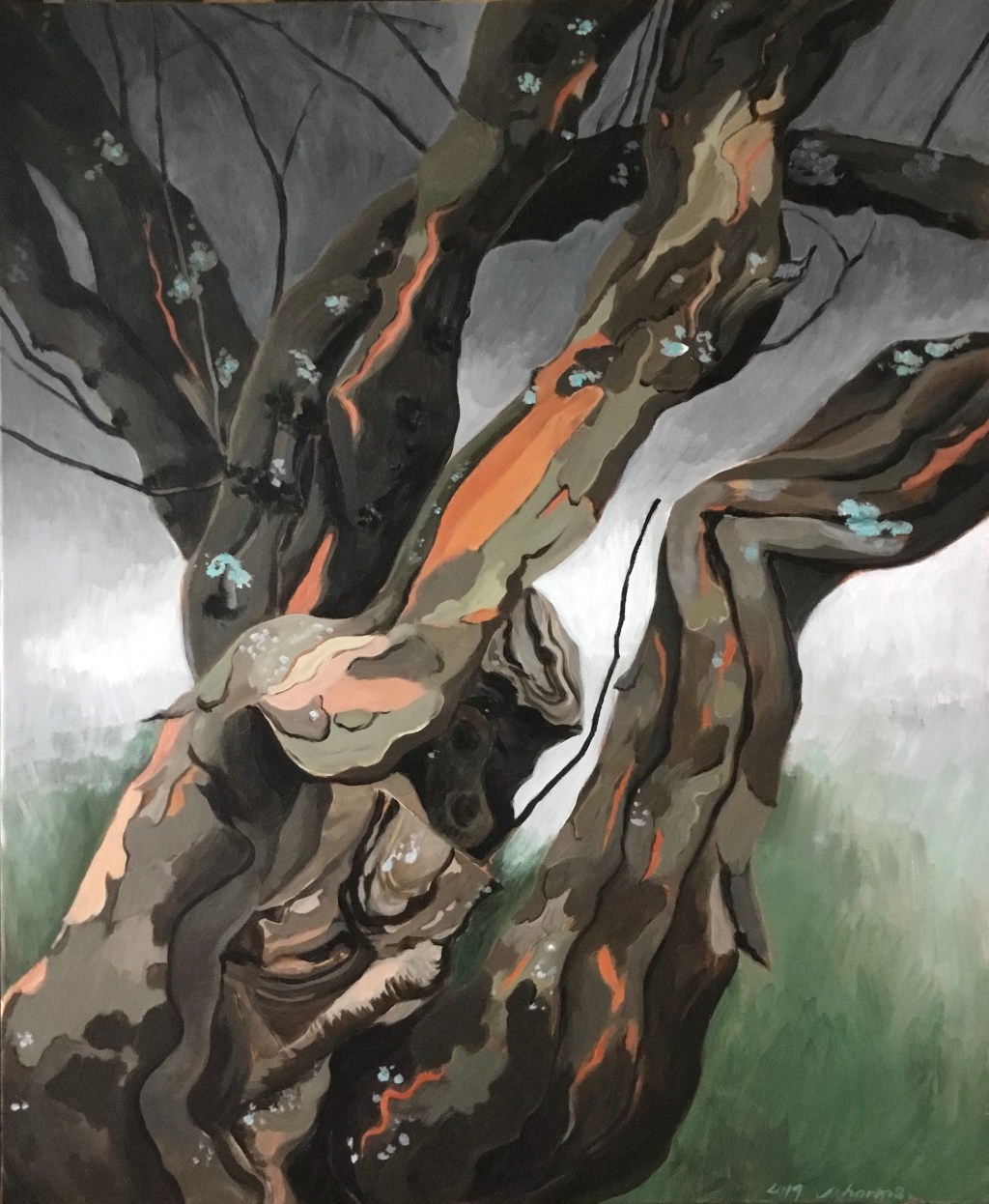 A quince tree.&nbsp;2019